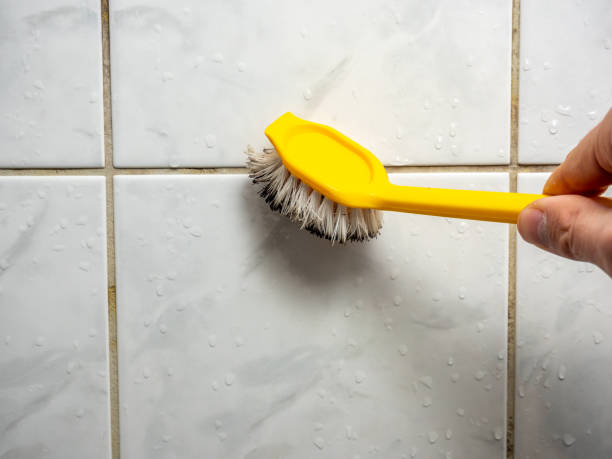 Best Mold Removal Near Me  in North Shore, CA
