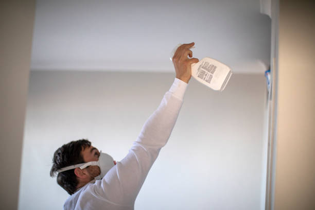 Trusted North Shore, CA Mold Removal Experts