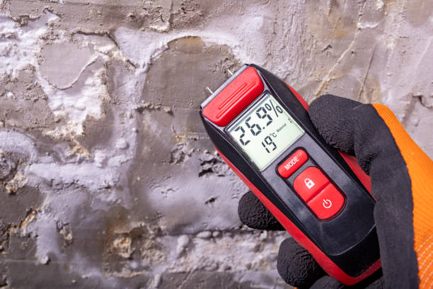 Best Mold Removal Near Me  in North Shore, CA