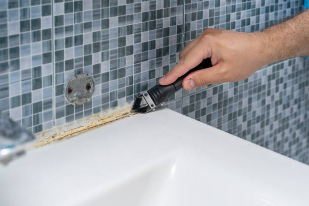 Best Home Mold Removal  in North Shore, CA