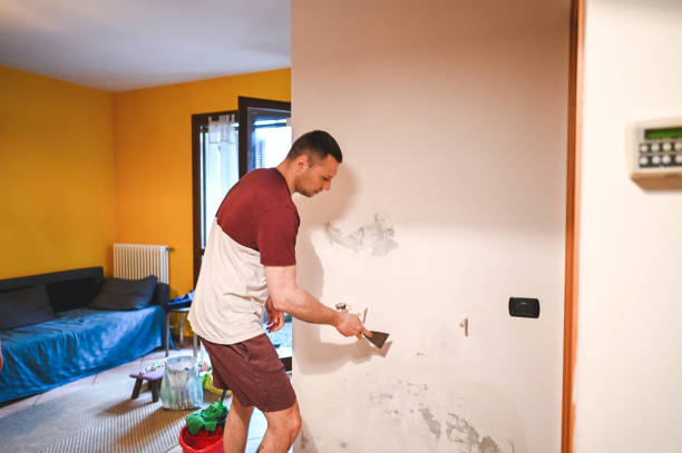 Best Commercial Mold Removal  in North Shore, CA